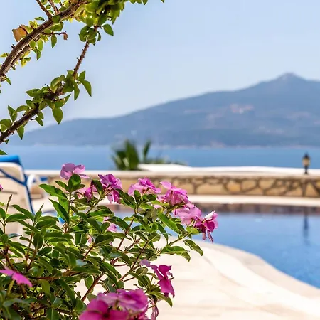 Olympos With Stunning Sea Views And Pool Апартаменты